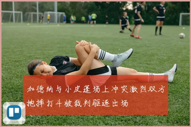 加德纳与小皮蓬场上冲突激烈双方抱摔打斗被裁判驱逐出场