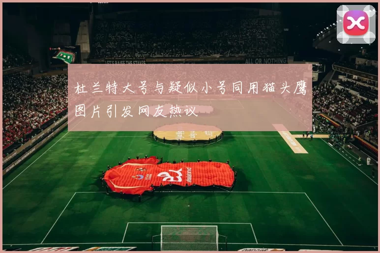 杜兰特大号与疑似小号同用猫头鹰图片引发网友热议