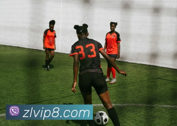 尊龙凯时平台生态图