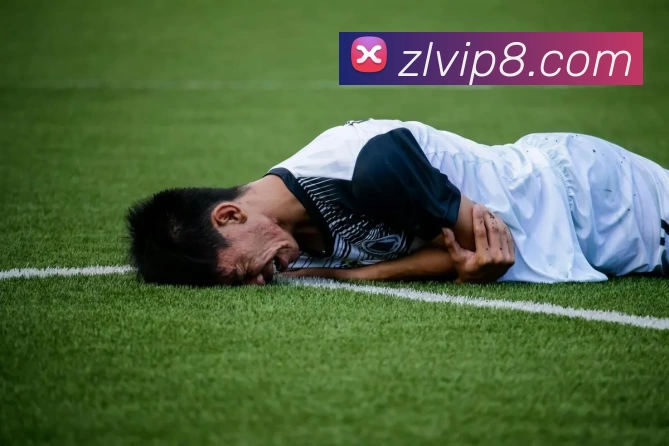 尊龙凯时APP 封面图